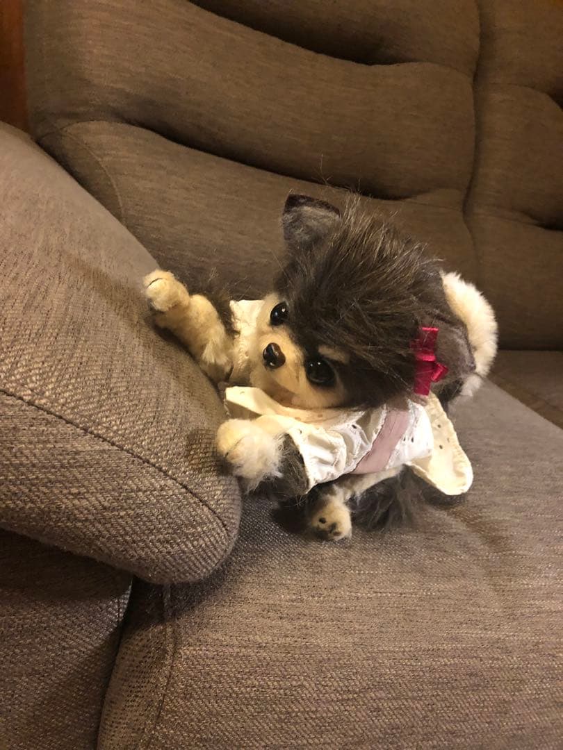 リボーンドール⭐️小犬⭐️抱き人形❤️こぐま❤️