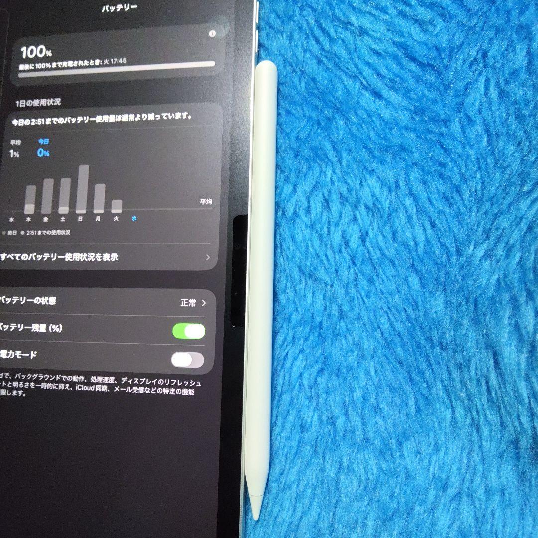 ipad pro m5 11インチ 256gbモデル　おまけ付き