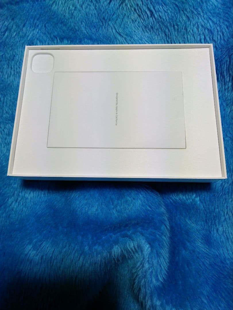 ipad pro m5 11インチ 256gbモデル　おまけ付き
