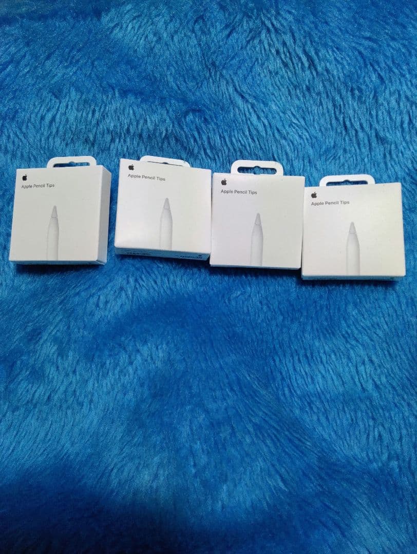 ipad pro m5 11インチ 256gbモデル　おまけ付き