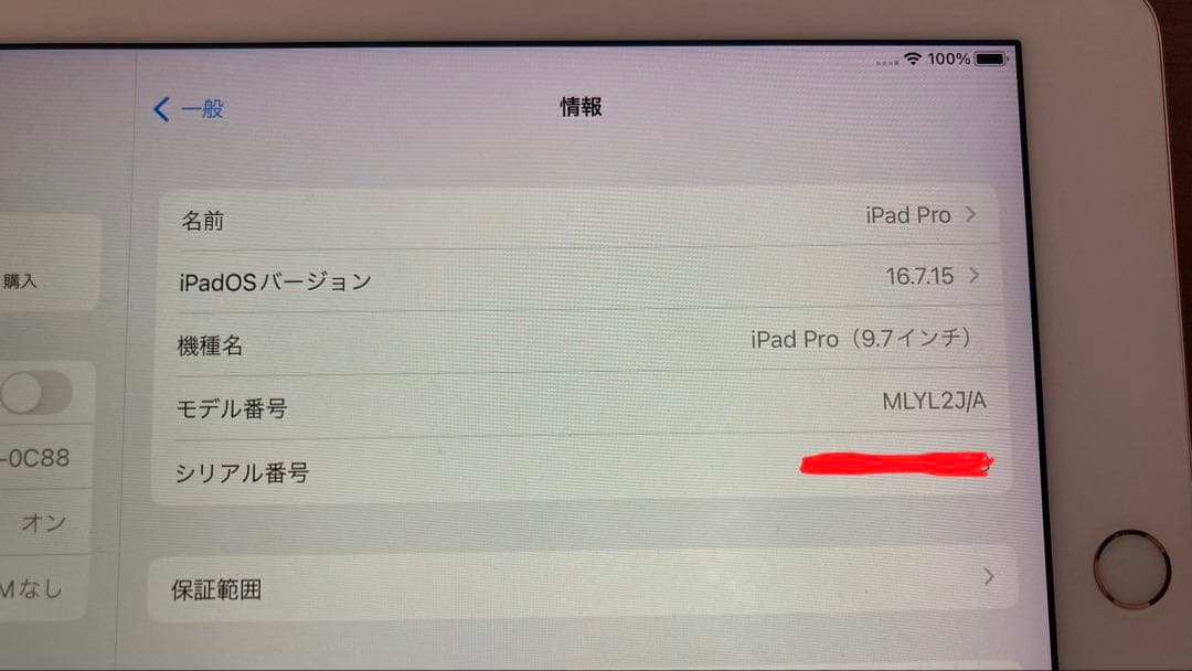 【ジャンク】iPad Pro Wi-Fi+Cellular 128GB