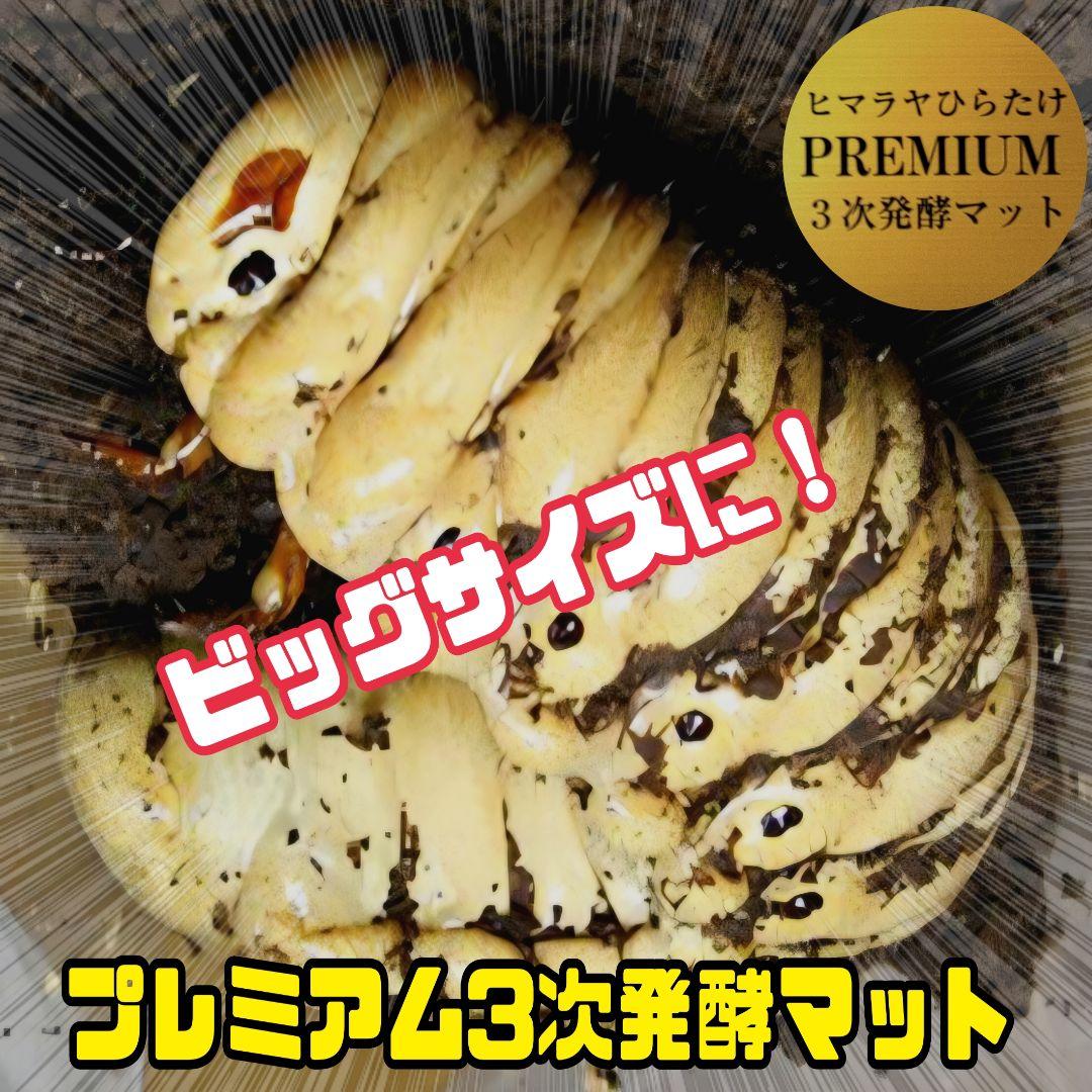 極上！プレミアム3次発酵カブトムシマット【80リットル】幼虫の餌、産卵にも抜群！