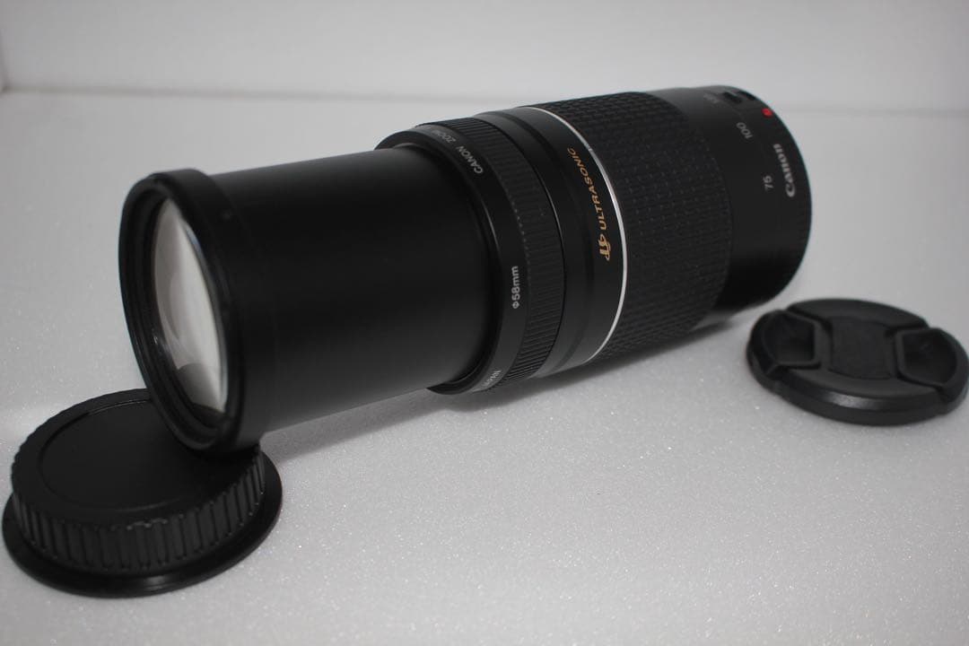 大迫力の300㎜☆イベント☆キャノン Canon EF75-300㎜