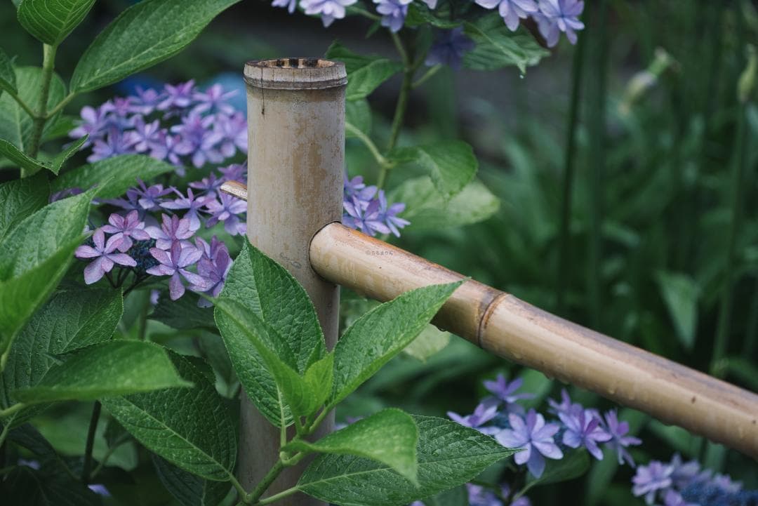 そこつや様　希少な3枚玉！Leica Elmar 90mm F4 Triplet
