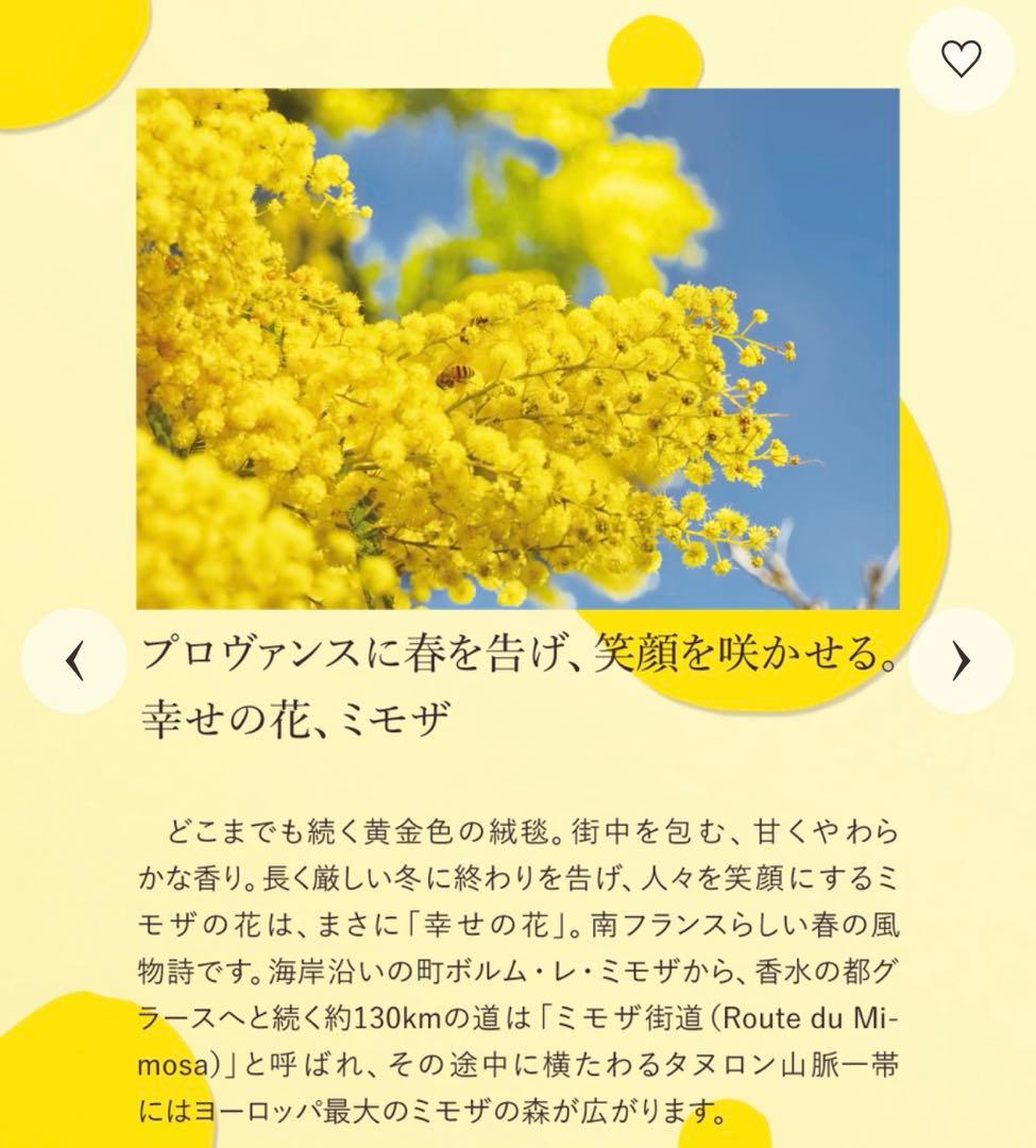 ロクシタン　ミモザ　オードトワレ・ハンドクリーム【数量限定】セット
