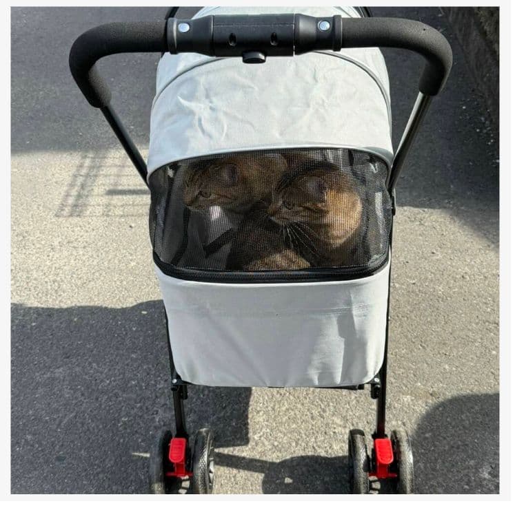 多頭飼いおすすめ 3WAY ペットカート 使い勝手抜群 耐荷重 20kg グレー
