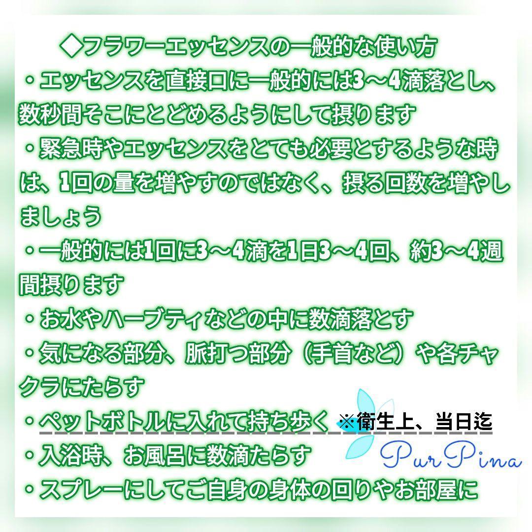【予約】No.54オーシャンエッセンス コルテPHIエッセンスフラワーエッセンス