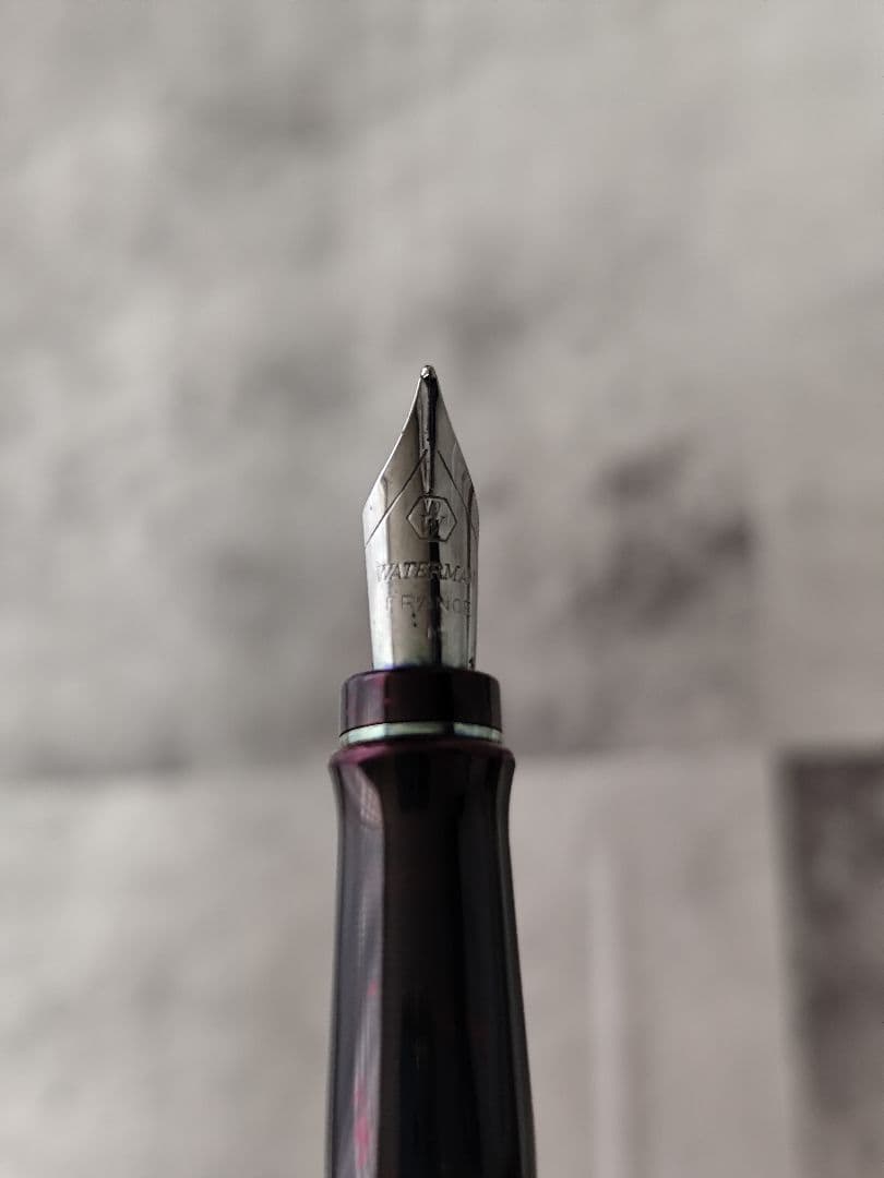 WATERMAN ウォーターマン エキスパート 万年筆