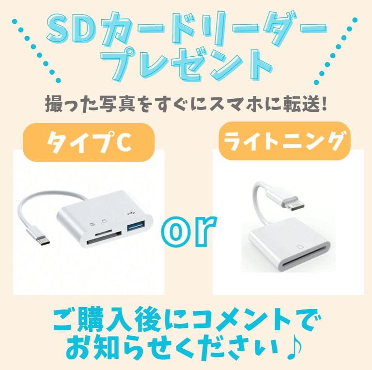 【希少カラー　グレー】Nikon D40　スマホ転送　小型軽量　旅行　卒園　入園