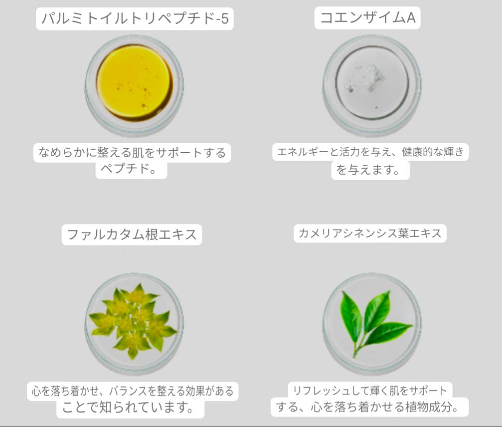 ラスト１点新品ケルスティン・フロリアン キャビア ナイトクリーム エイジング
