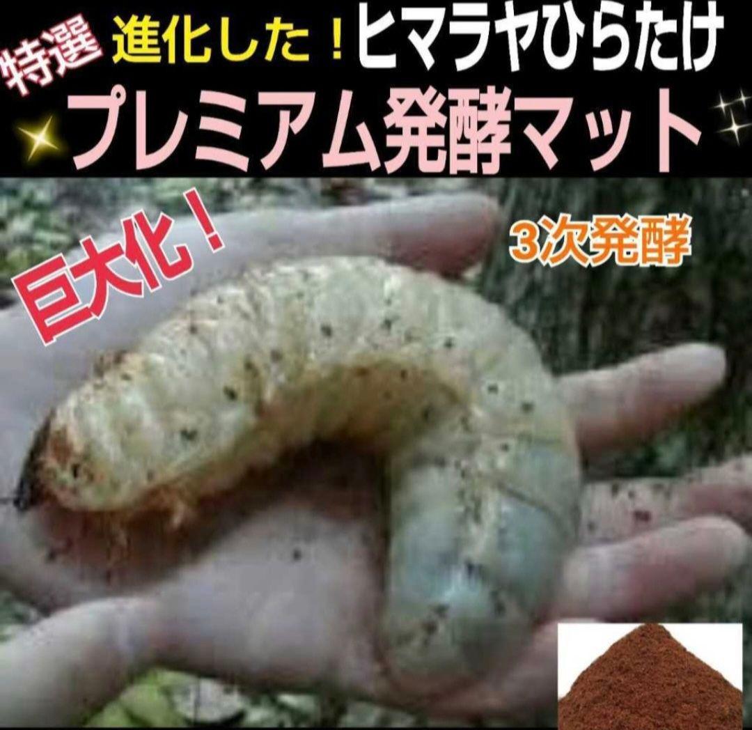 特大20Lボックス入【2ケース】プレミアム発酵マット☆カブトムシ幼虫を入れるだけ