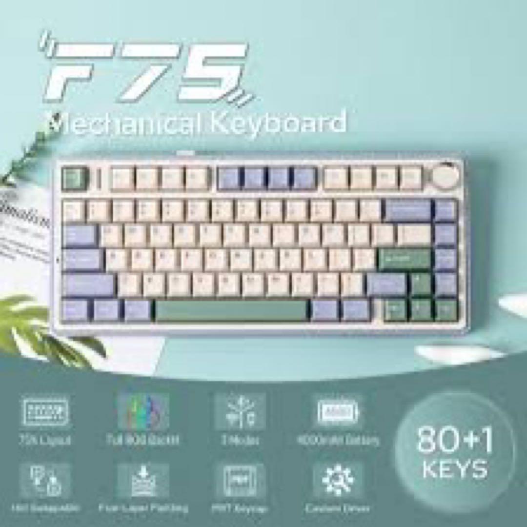 【美品】 EPOMAKER x AULA F75 ガスケット キーボード