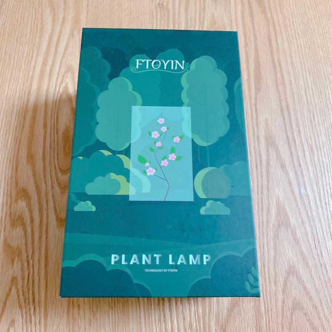 ❣️最終❣️ 多肉植物 ナイトライト　ライト　ホワイト　観賞　ギフト　プレゼント