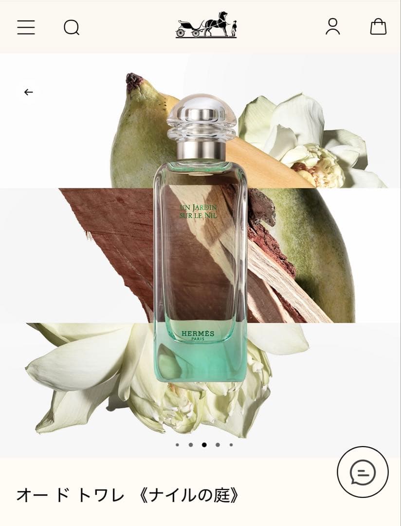 エルメス　ナイルの庭　オードトワレ　100ml 新品未開封　HERMES