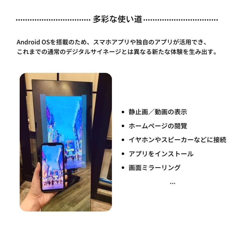 Fitness mirroR フィットネスミラー TE-630