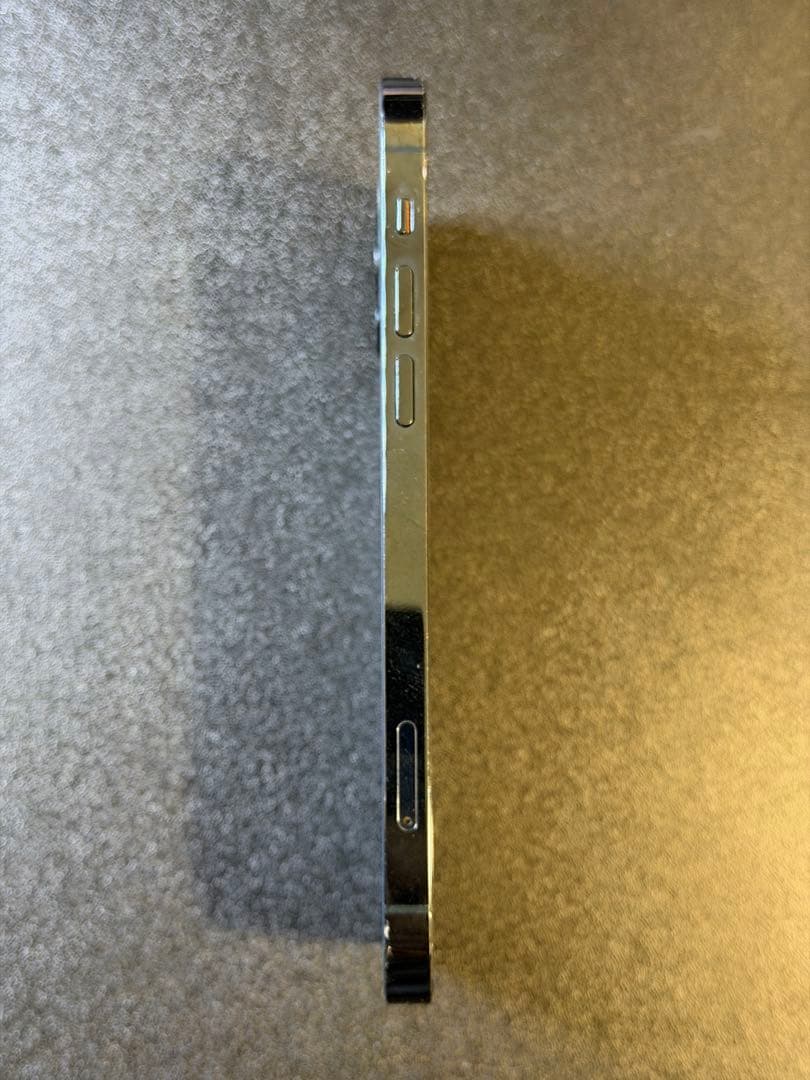 iPhone 12 Pro (米国モデル)