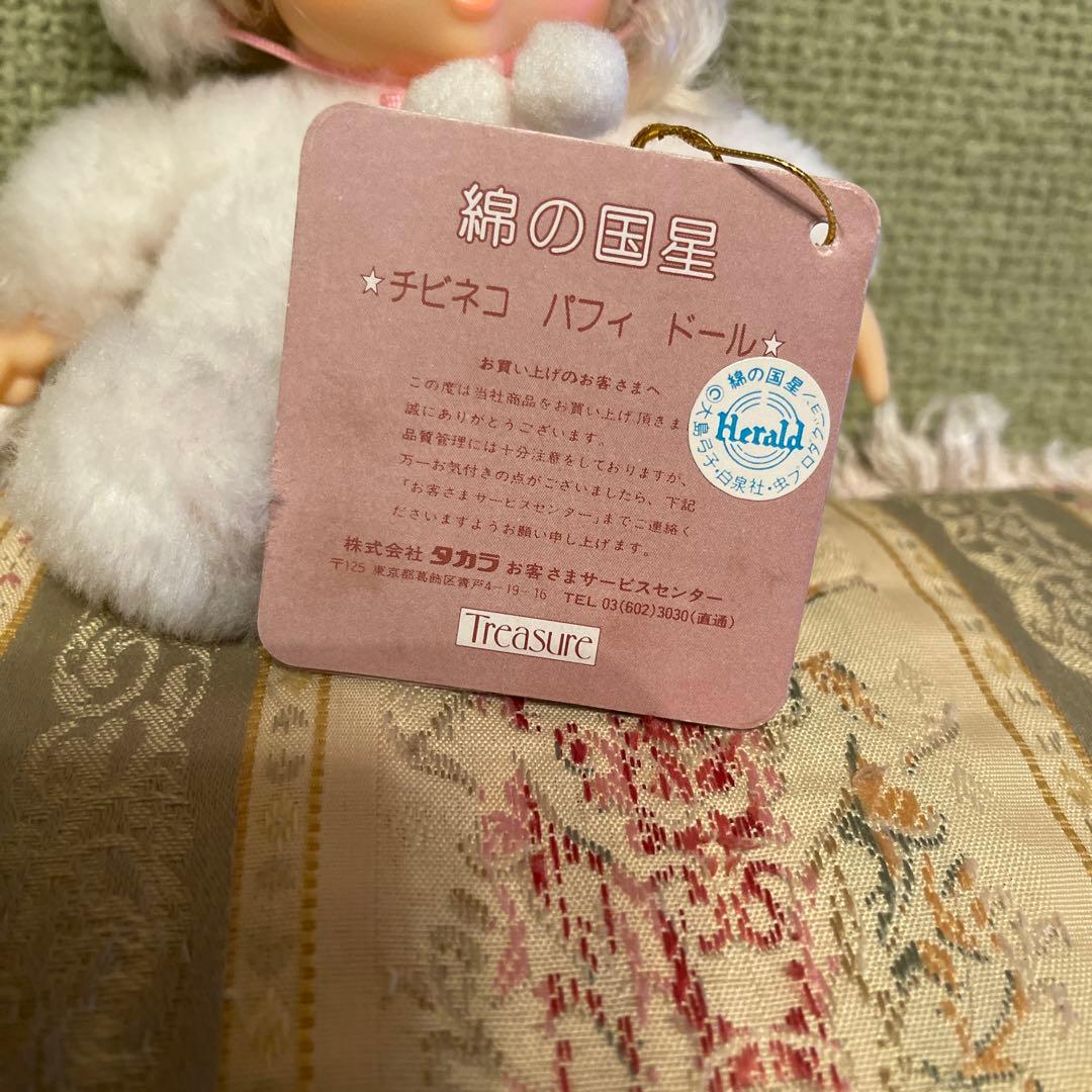 綿の国星✨チビ猫パフィドール
