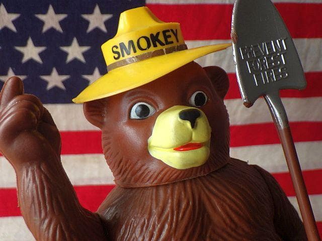 【限定値下】★【1970年代】DAKIN スモーキーベア 可動式 フィギュア置物