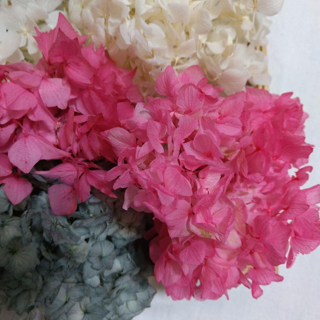 紫陽花ドライフラワーフラワー♪