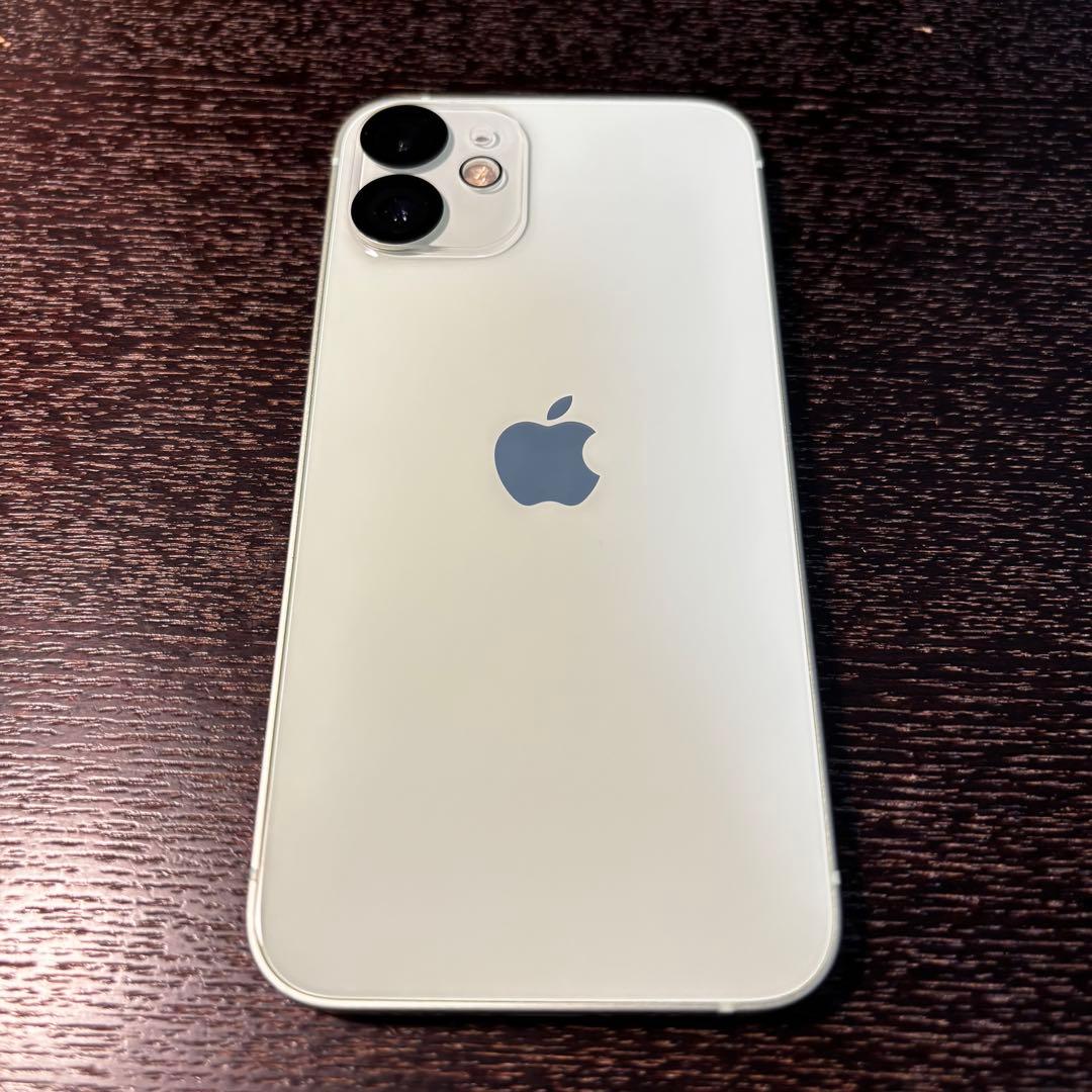 ✨国内版SIMフリー✨Apple iPhone 12 mini 256GB