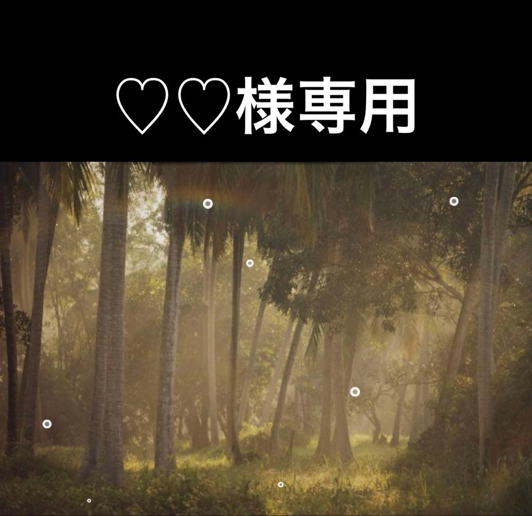 ♡♡ページ