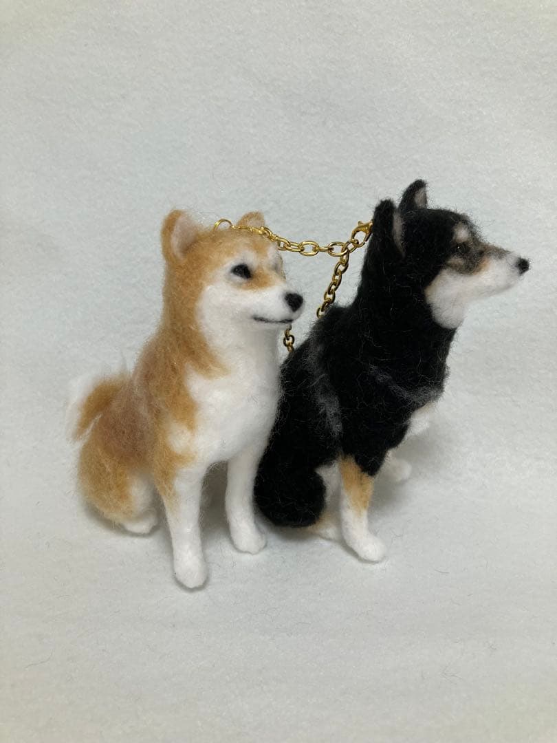媛