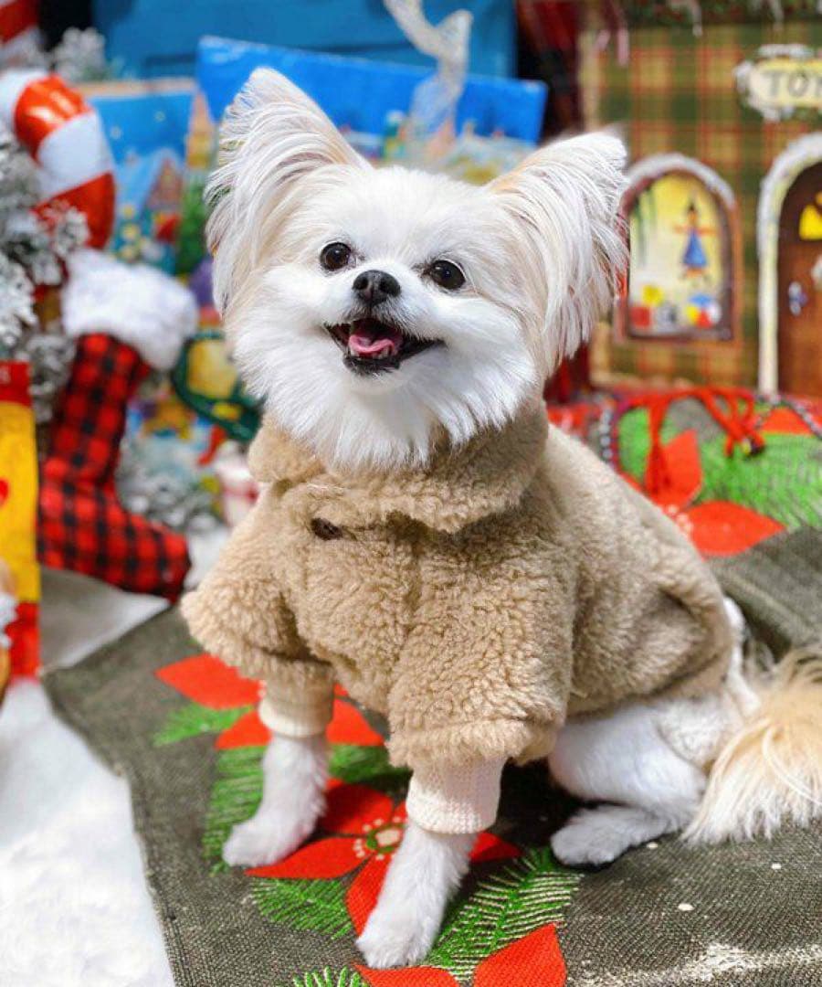 アズノゥアズ　犬服　もこもこアウター