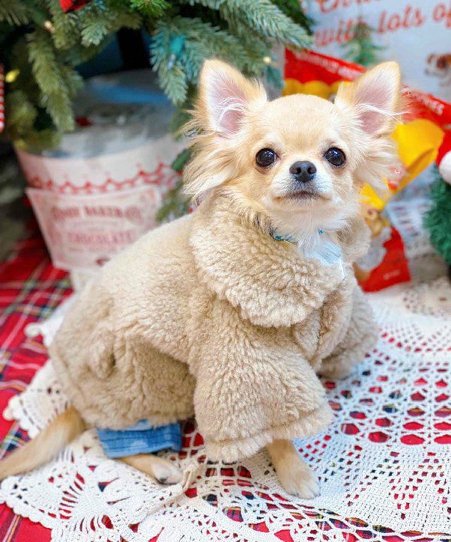 アズノゥアズ　犬服　もこもこアウター